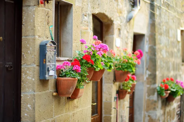 Flores Las Estrechas Calles Antiguas Famosa Ciudad Pitigliano Situado Alto —  Fotos de Stock