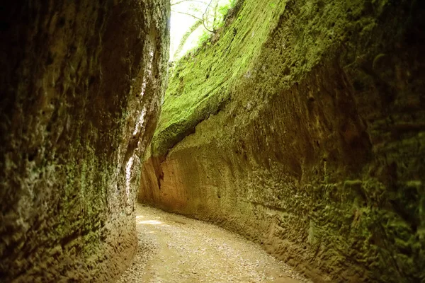エトルリア ヴィエ洞窟 Cava 古代ネクロポリスとソヴァナ ソラノ ピティグリアーノの間のいくつかの集落を結ぶ道である チッタ トゥフォ考古学公園 イタリアのトスカーナ州 — ストック写真