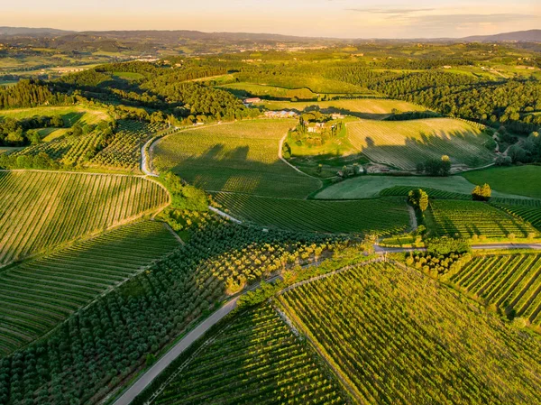 Letecký Pohled Nekonečné Řady Vinné Révy Kolem Města San Gimignano — Stock fotografie