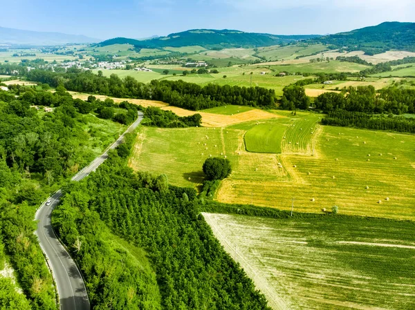 Потрясающий Вид Воздуха Пастбищные Зеленые Поля Сельхозугодия Летний Сельский Пейзаж — стоковое фото