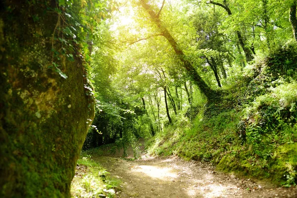 Etruscan Vie Cave Cava Path Connecting Ancient Necropolis Several Settlements — Stock Photo, Image