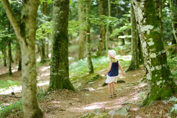 Avrupa Nın Büyük Ormanlarından Biri Olan Casentino Laik Ormanında Verna — Stok fotoğraf