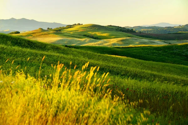 Vista Deslumbrante Manhã Campos Fazendas Com Pequenas Aldeias Horizonte Verão — Fotografia de Stock