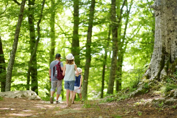 在欧洲最大的森林之一 卡森蒂诺世俗森林的Chiusi Della Verna的La Verna Sanctuary附近 父亲和女儿们沿着一条小径走着 意大利托斯卡纳 Foreste Casentinesi — 图库照片
