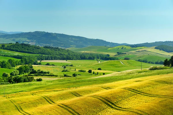 Vista Deslumbrante Campos Amarelos Terras Agrícolas Com Pequenas Aldeias Horizonte — Fotografia de Stock