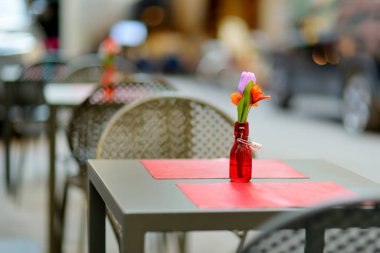 Ortaçağ Lucca kasabasındaki açık kafeterya masası. El değmemiş Rönesans dönemi şehir duvarları ve çok iyi korunmuş tarihi merkezi ile ünlüdür. Lucca ili, Toskana, İtalya.