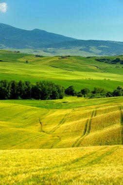 Ufukta küçük köyleri olan sarı tarlalar ve tarım arazilerinin çarpıcı manzarası. İtalya, Toskana 'nın kayan tepeleri, kıvrımlı yolları ve selvilerinin yaz manzarası.