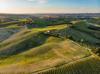 San Gimignano şehrinin etrafındaki sonsuz üzüm bağlarının havadan görünüşü. Üzüm bağları, üzüm bağları çoğunlukla Toskana, İtalya 'da şarap üretimi için yetiştirilir.
