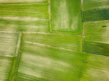 Piano Grande 'nin yukarıdan görünüşü, Monti Sibillini dağlarının geniş karstik yaylası. Monti Sibillini Ulusal Parkı 'nın güzel yeşil alanları, Umbria, İtalya.