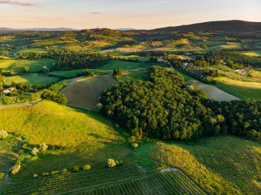 San Gimignano şehrinin etrafındaki sonsuz üzüm bağlarının havadan görünüşü. Üzüm bağları, üzüm bağları çoğunlukla Toskana, İtalya 'da şarap üretimi için yetiştirilir.