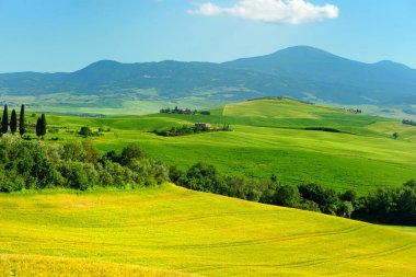 Ufukta küçük köyleri olan sarı tarlalar ve tarım arazilerinin çarpıcı manzarası. İtalya, Toskana 'nın kayan tepeleri, kıvrımlı yolları ve selvilerinin yaz manzarası.