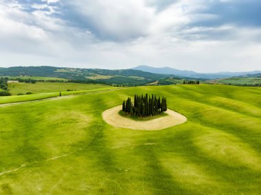 Ortasında bir grup selvi ağacı olan yeşil tarlaların ve tarım alanlarının göz kamaştırıcı manzarası. İtalya, Toskana 'nın kayan tepeleri, kıvrımlı yolları ve selvilerinin yaz manzarası.