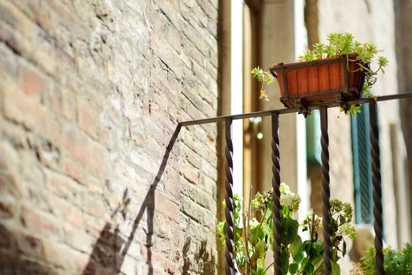 Flowers Pots Narrow Old Streets Montepulciano Town Located Top Limestone — Stock Photo, Image