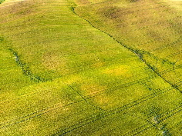 Prachtig Uitzicht Vanuit Lucht Groene Velden Landbouwgronden Met Kleine Dorpjes — Stockfoto