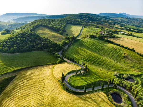 Impresionante Vista Aérea Campos Verdes Tierras Cultivo Con Pequeños Pueblos — Foto de Stock