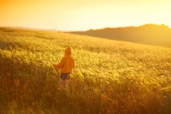 Jong Meisje Dat Velden Landbouwgronden Verkent Bij Zonsondergang Zomer Landelijk — Stockfoto