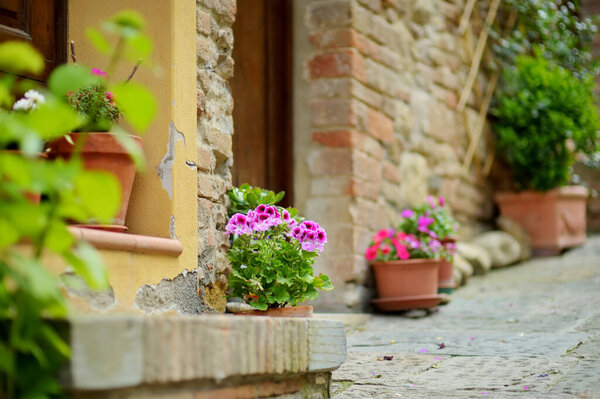 Flowers in pots in narrow old streets of Montepulciano town, located on top of a limestone ridge surrounded by vineyards. Vino Nobile wine territory. Tuscany, Italy.