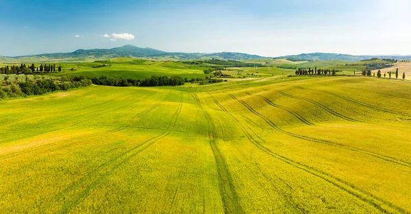 Vista Deslumbrante Campos Amarelos Terras Agrícolas Com Pequenas Aldeias Horizonte — Fotografia de Stock