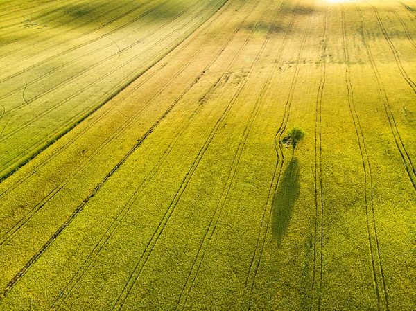 Prachtig Uitzicht Vanuit Lucht Akkers Landerijen Met Kleine Dorpjes Aan — Stockfoto