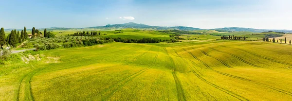 地平線に小さな村と黄色のフィールドや農地の素晴らしい景色 丘陵の夏の農村風景 トスカーナの湾曲した道路やヒノキ イタリア — ストック写真