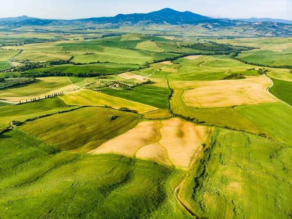 地平線に小さな村と緑のフィールドや農地の見事な空中ビュー 丘陵の夏の農村風景 トスカーナの湾曲した道路やヒノキ イタリア — ストック写真