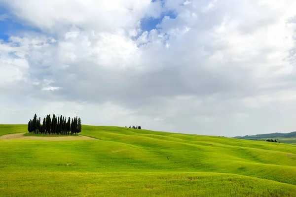 Atemberaubender Blick Auf Grüne Felder Und Ackerland Mit Einer Gruppe — Stockfoto