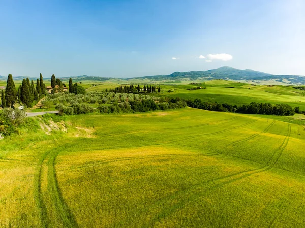 Stunning Aerial View Yellow Fields Farmlands Small Villages Horizon Summer — Stock Photo, Image