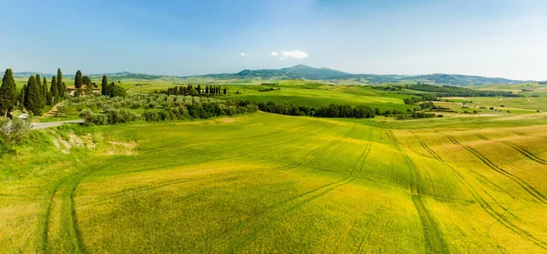 Vista Deslumbrante Campos Amarelos Terras Agrícolas Com Pequenas Aldeias Horizonte — Fotografia de Stock