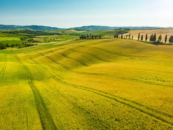 Vista Aérea Deslumbrante Campos Amarelos Terras Agrícolas Com Pequenas Aldeias — Fotografia de Stock