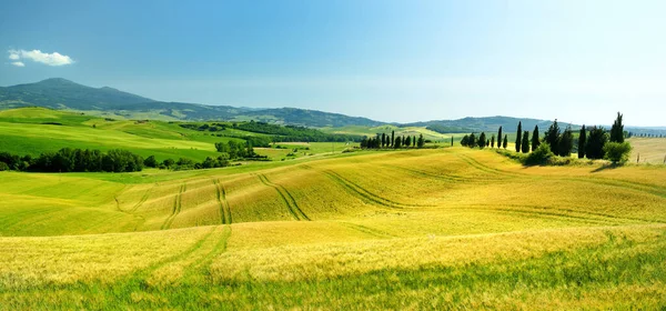 Stunning View Yellow Fields Farmlands Small Villages Horizon Summer Rural — Stock Photo, Image