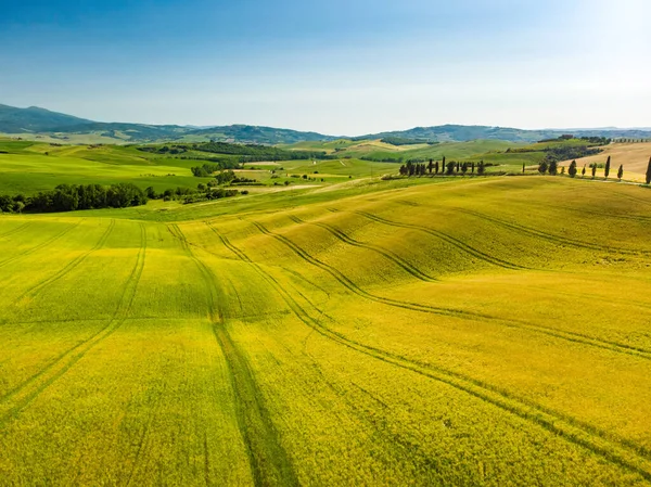 Vista Aérea Deslumbrante Campos Amarelos Terras Agrícolas Com Pequenas Aldeias — Fotografia de Stock