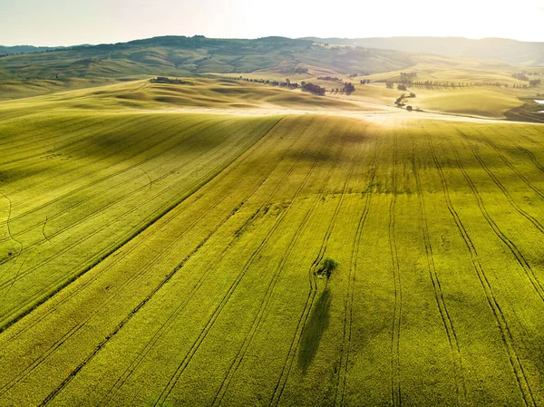 Vista Aérea Impressionante Manhã Campos Terras Agrícolas Com Pequenas Aldeias — Fotografia de Stock