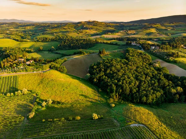 Luftaufnahme Endloser Weinreihen Rund San Gimignano Weinberge Plantagen Von Reben — Stockfoto