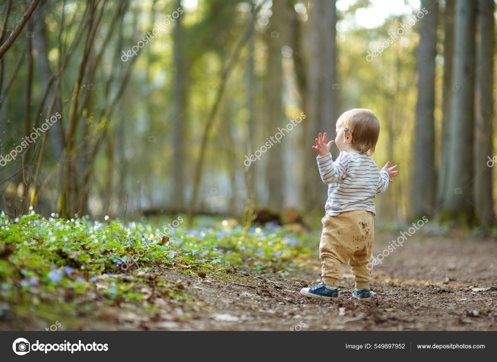 可爱的蹒跚学步的男孩在美丽的阳光明媚的春天在森林里散步时很开心有孩子的积极的家庭休闲探索自然的儿童——, image size:1600x1167