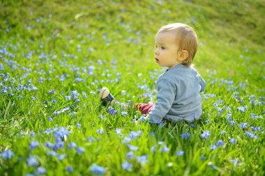 Sevimli çocuk, Scilla çiçeklerinde oynuyor baharda parkta çiçek açıyor. Güneşli bir günde güzel mavi bahar çiçekleri.