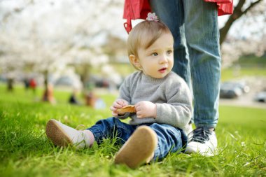 Güzel bir bahar günü kiraz ağacı bahçesinde oynayan tatlı çocuk. Güzel bebek dışarıda eğleniyor. Doğayı keşfeden çocuk.