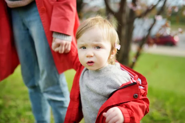 Leuke Peuter Jongen Spelen Bloeiende Kersenboom Tuin Mooie Lentedag Schattige — Stockfoto