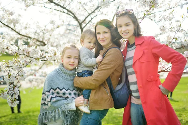 Jonge Moeder Het Drie Kinderen Hebben Plezier Bloeiende Kersenboom Tuin — Stockfoto