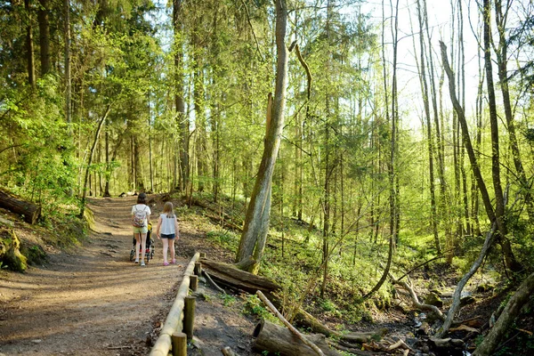 Idősebb Nővérek Sétálnak Parkban Egy Babakocsis Kisöccsel Egy Lány Babakocsit — Stock Fotó