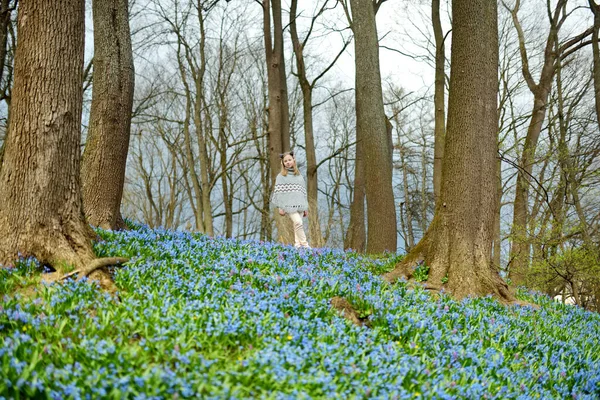 Cute Young Girl Admiring Scilla Flowers Blooming Park Spring Beautiful — Stock Photo, Image