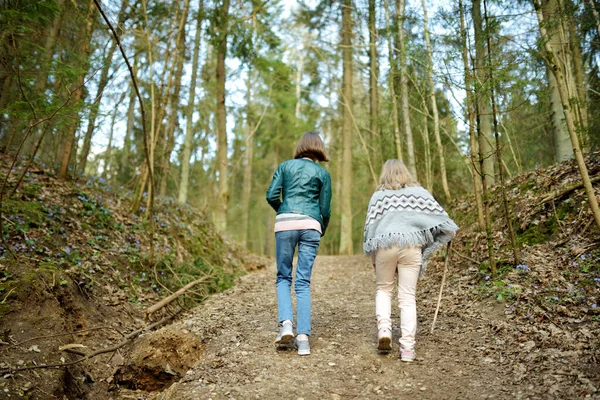 Underbara Unga Systrar Som Har Roligt Vandring Skogen Vacker Solig — Stockfoto