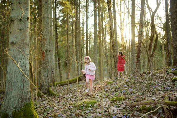 Två Unga Systrar Har Roligt Vandring Skogen Vacker Solig Vårdag — Stockfoto