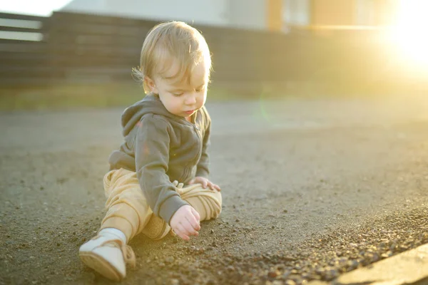 晴れた夏の日に屋外で地面に座っている面白い幼児の少年 子供は自然を探索する 小さな子供のための夏の活動 — ストック写真