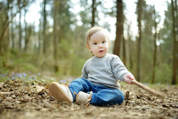 可爱的蹒跚学步的男孩在美丽的阳光明媚的春天在森林里散步时很开心 有孩子的积极的家庭休闲 探索自然的儿童 — 图库照片