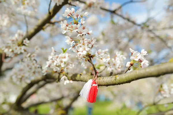 Bulgarian Martenitsa Tied Cherry Tree Branch Symbol National Bulgarian Tradition — Stock Photo, Image