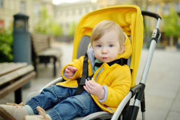 Słodki Chłopczyk Jedzący Ciasteczka Wózku Świeżym Powietrzu Małe Dziecko Wózku — Zdjęcie stockowe