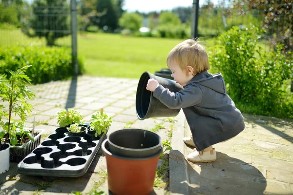 Güneşli Yaz Gününde Bahçede Yardım Eden Tatlı Bir Çocuk Doğayı — Stok fotoğraf