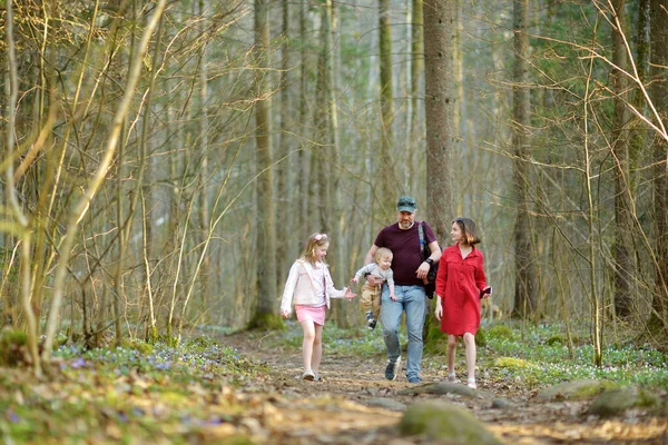 Jeune Père Ses Trois Enfants Marchent Dans Les Bois Famille — Photo