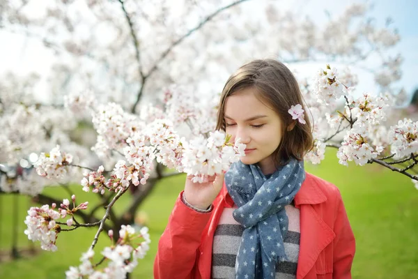 Adorable Young Girl Blooming Cherry Tree Garden Beautiful Spring Day — Stock Photo, Image