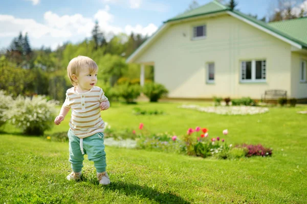 Lustige Kleinkind Jungen Spaß Freien Einem Sonnigen Sommertag Kind Erkundet — Stockfoto